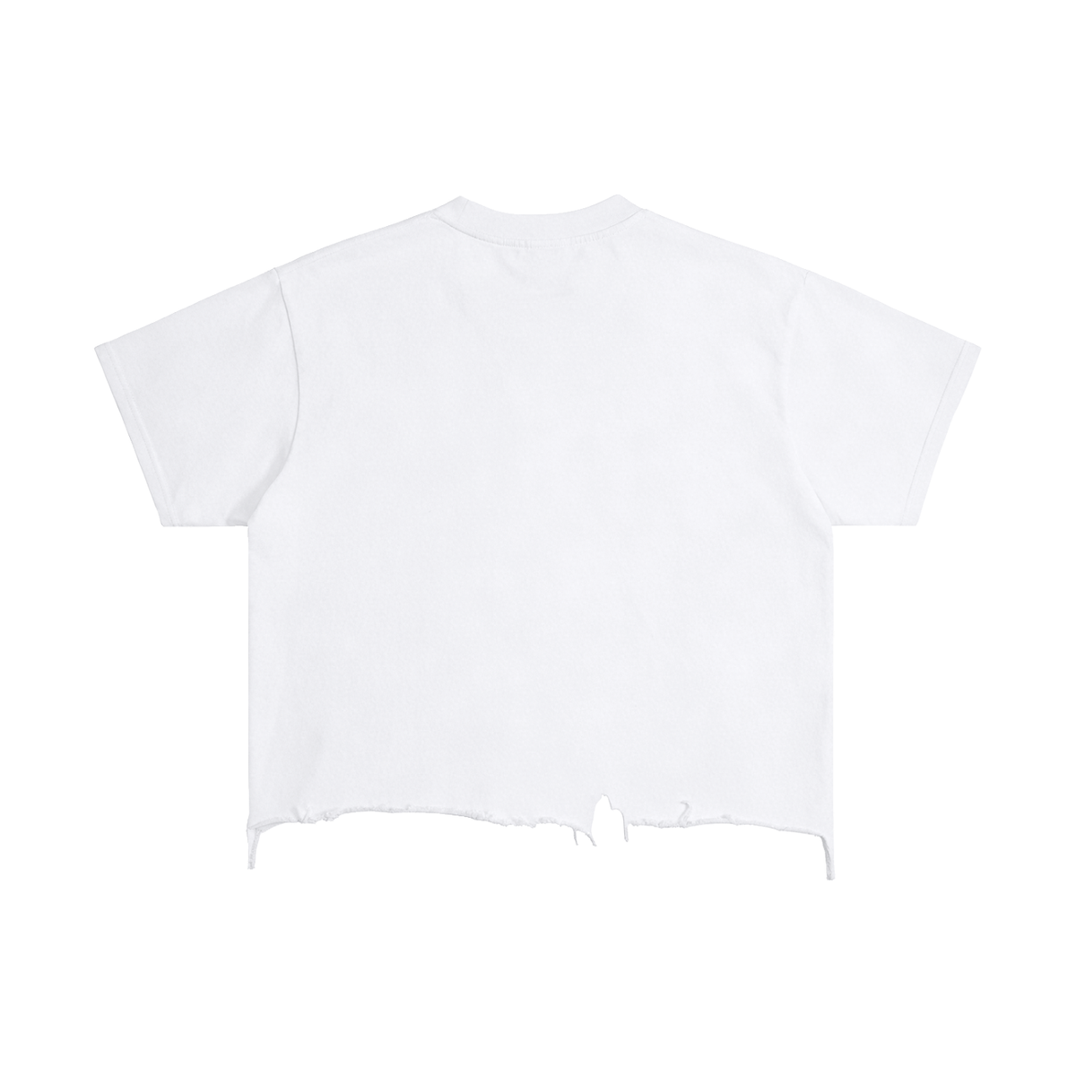 Fave Colors Ripped Tee