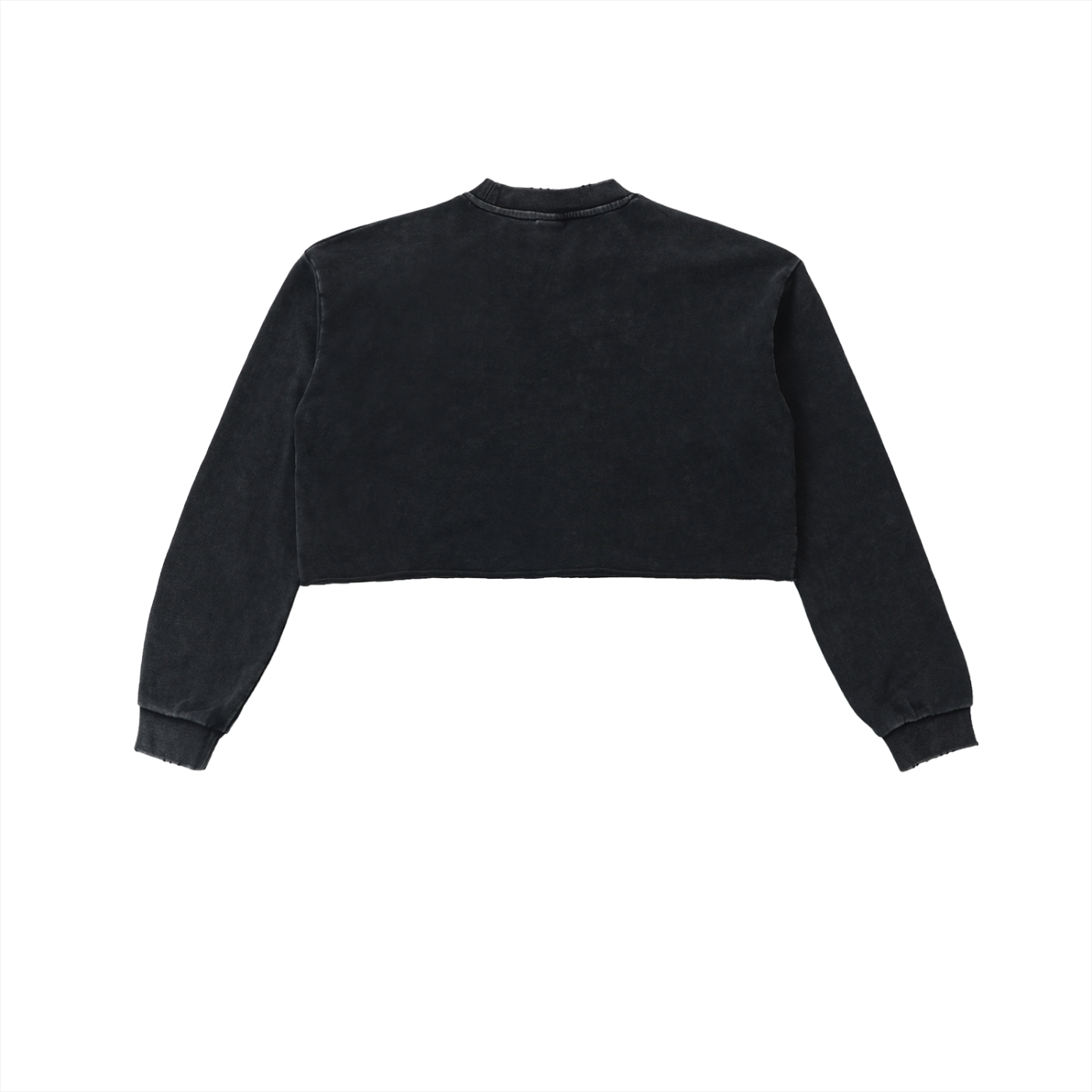 Ricalala Cropped Sweatshirt Snow Washed